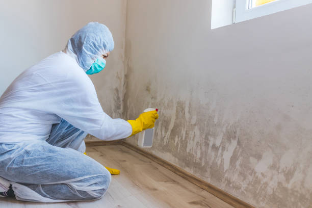 Licensed Bathroom Mold Removal service in Westport, PA - WQB Mold Removal