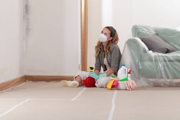 Reliable Bathroom Mold Removal contractor in Westport, PA by WQB Mold Removal