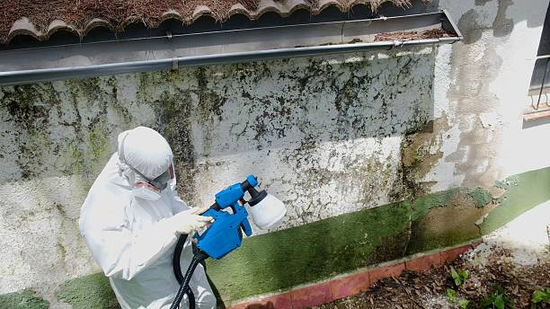 Top rated local Bathroom Mold Removal specialists in Westport, PA
